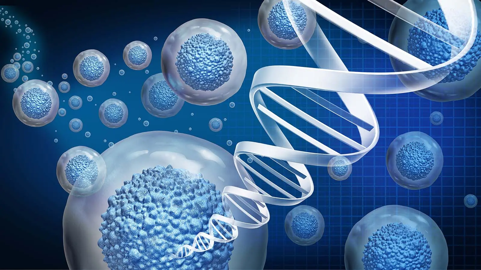 Tissue Repair & Regenerative